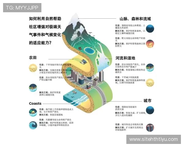 华体会平台提款遇阻怎么办?详细排查步骤与解决方案全指南